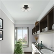 Beaumont Lane Transitional 3-Light Metal & Glass Flush Mount in Black