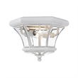Beaumont Lane Contemporary Brass 2 Light White Ceiling Mount