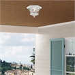 Beaumont Lane Contemporary Brass 2 Light White Ceiling Mount
