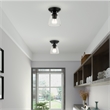 Beaumont Lane Transitional 1-Light Metal & Glass Flush Mount in Black