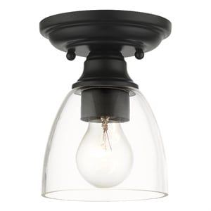Beaumont Lane Transitional 1-Light Metal & Glass Flush Mount in Black