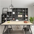 Beaumont Lane Contemporary 2 Light Black Chain Hang/Ceiling Mount