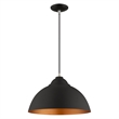 Beaumont Lane Transitional 1-Light Metal Single Pendant in Black