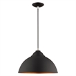 Beaumont Lane Transitional 1-Light Metal Single Pendant in Black