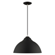 Beaumont Lane Transitional 1-Light Metal Single Pendant in Black