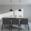 Beaumont Lane Transitional 1-Light Metal Single Pendant in Black