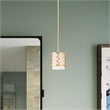 Beaumont Lane Transitional 1-Light Metal Single Pendant in Soft Gold