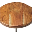 Beaumont Lane Metal Contemporary Live Edge Accent Table in Beige