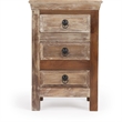 Beaumont Lane Modern Wood Coastal Rustic Accent Chest in Multi-Color