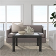 Beaumont Lane Traditional Glass And Square Coffee Table in Charcoal