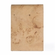 Beaumont Lane Contemporary 2 Drawer Nightstand in Light Burl