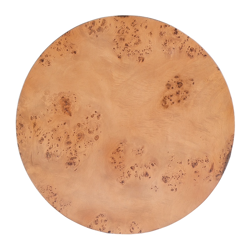 Beaumont Lane Modern Burl Wood End Table in Traditional Burl