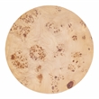 Beaumont Lane Contemporary Burl Wood End Table in Light Burl