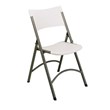 Scranton & Co Resin Folding Chair with Gray Frame (Set of 4)
