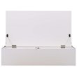 Scranton & Co Wall Mount Folding Floating Desk in White