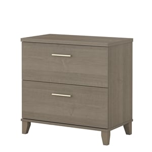 Scranton & Co Furniture Somerset 2 Drawer File Cabinet in Ash Gray