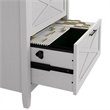 Scranton & Co 2 Drawers Contemporary Wood File Cabinet in Oak