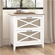 Scranton & Co 2 Drawers Contemporary Wood File Cabinet in Gray