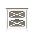 Scranton & Co 2 Drawers Contemporary Wood File Cabinet in Gray