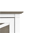 Scranton & Co 2 Drawers Contemporary Wood File Cabinet in Gray