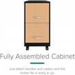 Scranton & Co Home Office Metal Desk and Storage Set in Black / Maple