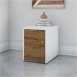 Scranton & Co Contemporary 2 Drawer Assembled File Cabinet in White and Brown
