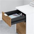 Scranton & Co Contemporary 2 Drawer Assembled File Cabinet in White and Brown