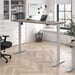 Modern Hickory