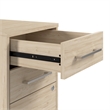 Scranton & Co Wood 3 Drawer Rolling File Cabinet with Lock in Natural Elm