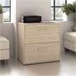 Scranton & Co Wood 2 Drawer Lateral File Cabinet with Lock in Natural Elm