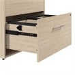 Scranton & Co Wood 2 Drawer Lateral File Cabinet with Lock in Natural Elm
