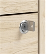 Scranton & Co Wood 2 Drawer Lateral File Cabinet with Lock in Natural Elm