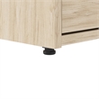 Scranton & Co Wood 2 Drawer Lateral File Cabinet with Lock in Natural Elm