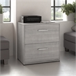 Scranton & Co Engineered Wood 2 Drawer Lateral File Cabinet with Lock in Gray