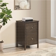 Scranton & Co Assembled 2-Drawer File Cabinet in Burnt Ash Engineered Wood