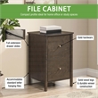 Scranton & Co Assembled 2-Drawer File Cabinet in Burnt Ash Engineered Wood