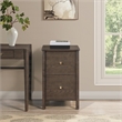 Scranton & Co Assembled 2-Drawer File Cabinet in Burnt Ash Engineered Wood