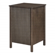 Scranton & Co Assembled 2-Drawer File Cabinet in Burnt Ash Engineered Wood