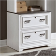 Scranton & Co Lateral File Cabinet in White with Charcoal Pine Top