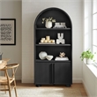Scranton & Co Tall Arched Display Cabinet Bookcase in Black Oak