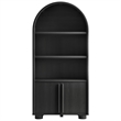 Scranton & Co Tall Arched Display Cabinet Bookcase in Black Oak