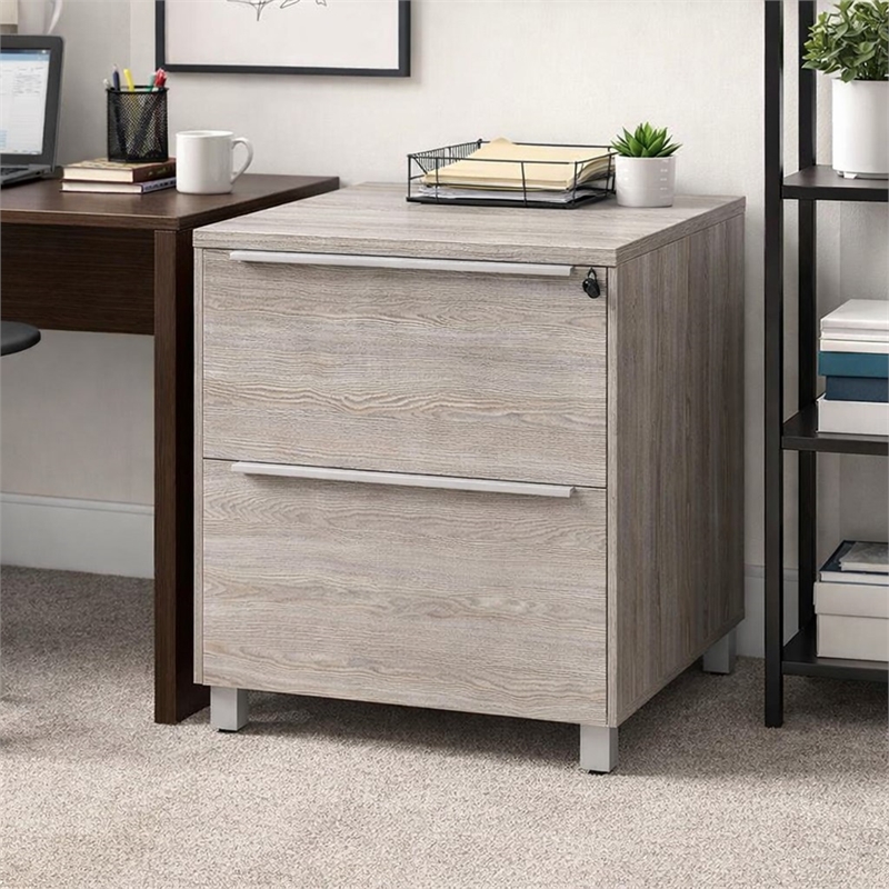 Scranton & Co 2-Drawer Lateral File Cabinet in Gray Laminate