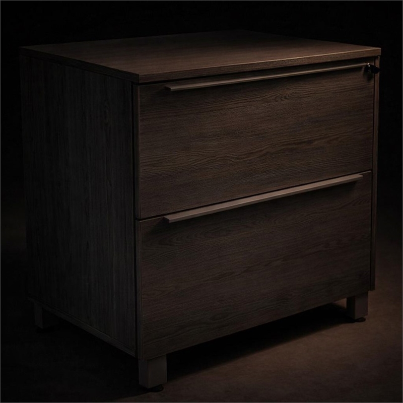 Scranton & Co 2-Drawer Lateral File Cabinet in Gray Laminate