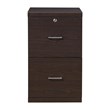 Scranton & Co Alpine 2-Drawer Wood Vertical File Cabinet with Loc in Espresso