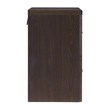 Scranton & Co Alpine 2-Drawer Wood Vertical File Cabinet with Loc in Espresso