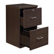 Scranton & Co Alpine 2-Drawer Wood Vertical File Cabinet with Loc in Espresso