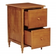 Scranton & Co Contemporary 2 Drawer Wood File Cabinet in Antique Cherry