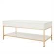 Scranton & Co Cocktail Table in White Gloss with Gold Chrome Base