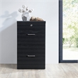 Scranton & Co 2-Drawer Locking Vertical File Cabinet in Black Woodgrain