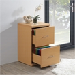 Scranton & Co 2-Drawer Locking Vertical File Cabinet in Natural Woodgrain